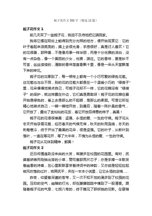 栀子花作文500字（精选13篇）