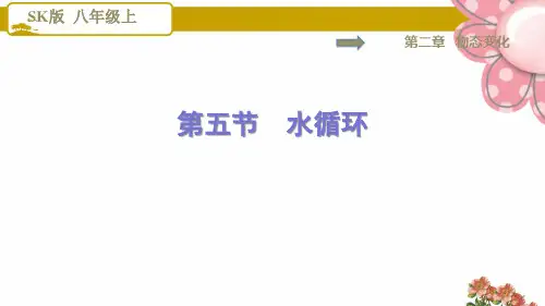8物理苏科版 第2章 物态变化2.5 水循环