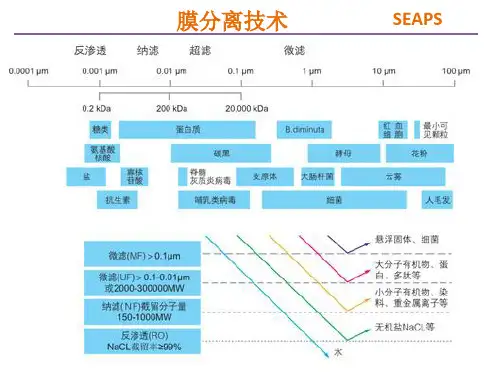 RO膜基础知识