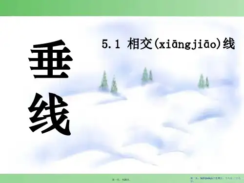 《垂线》相交线与平行线PPT课件3