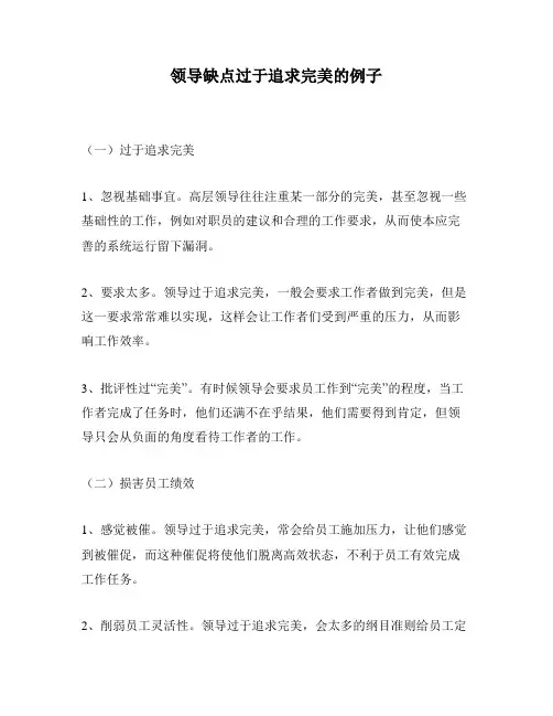 领导缺点过于追求完美的例子