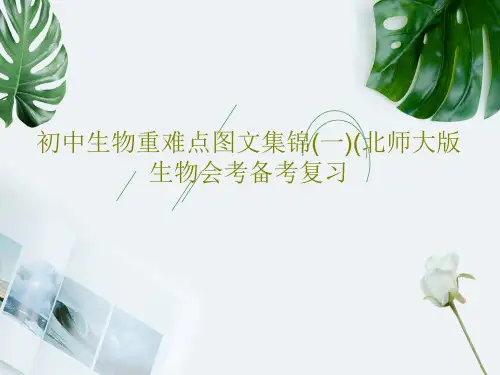 初中生物重难点图文集锦(一)(北师大版生物会考备考复习共49页