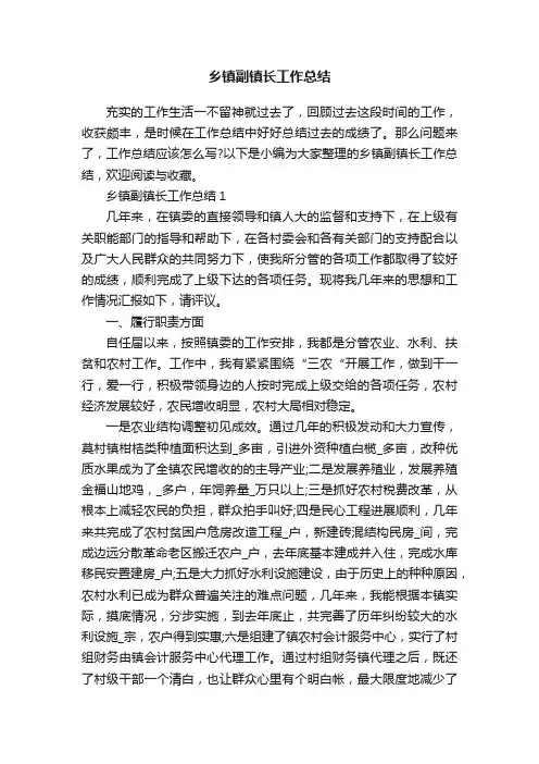 乡镇副镇长工作总结