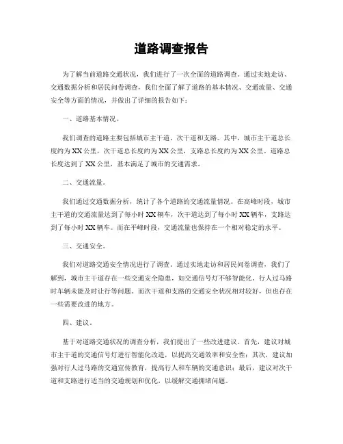 道路调查报告