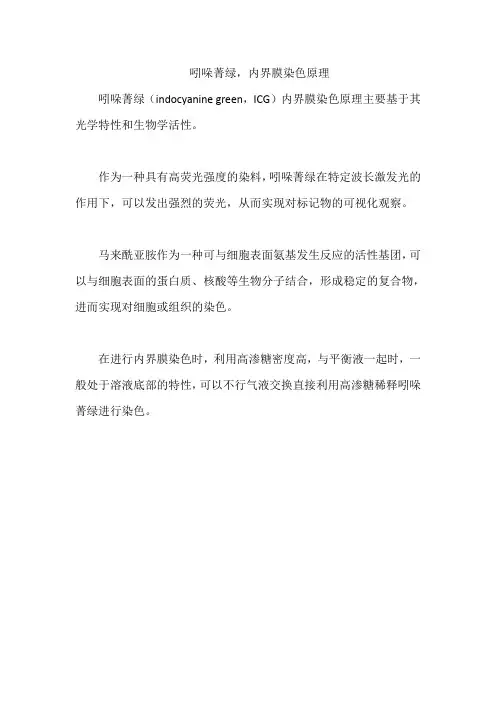 吲哚菁绿,内界膜染色原理