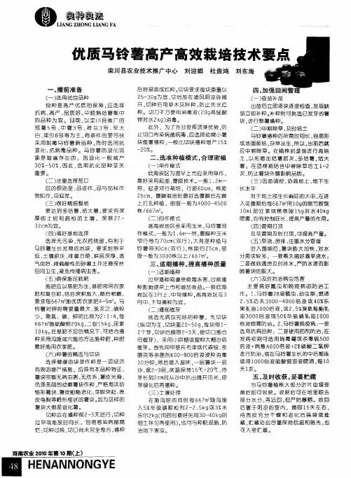 优质马铃薯高产高效栽培技术要点