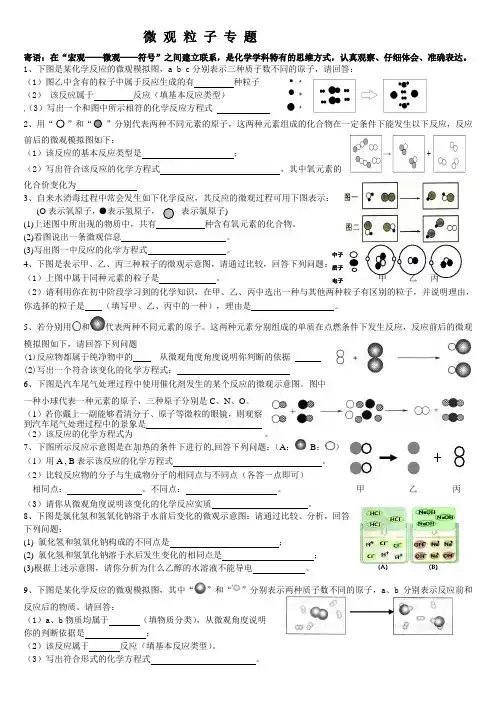 初中化学一统中的微观粒子题