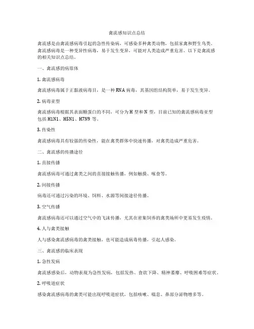 禽流感知识点总结