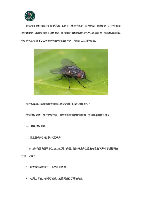 餐厅厨房如何有效防治消灭苍蝇？