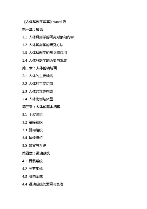 《人体解剖学教案》word版