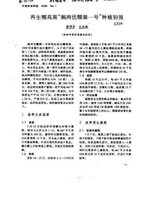 再生糯高粱 湘两优糯粱一号 种植初报