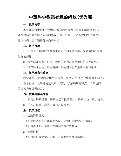 中班科学教案有趣的蚂蚁篇