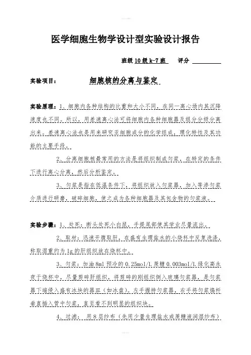 细胞生物学设计性实验：细胞核的分离鉴定