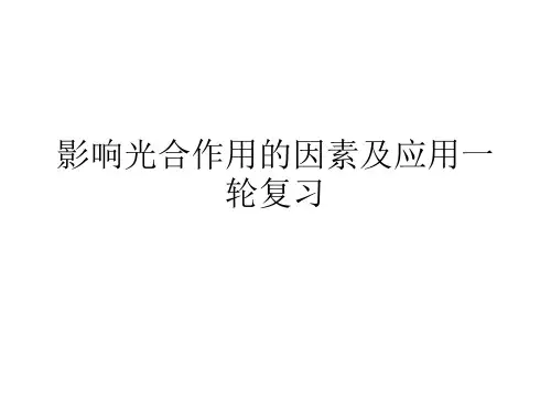 影响光合作用的因素及应用一轮复习PPT课件