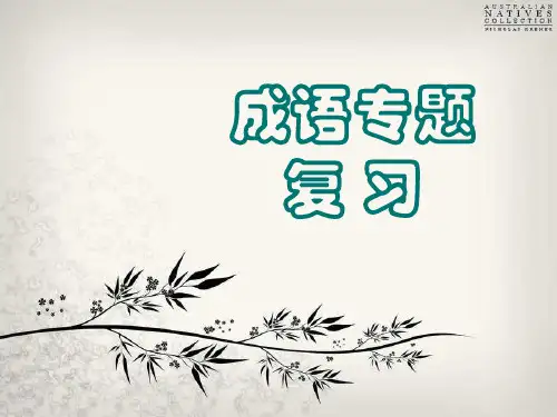 高考冲刺讲义成语课件PPT资料30页