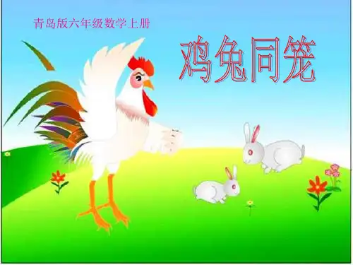 青岛版六年级数学《鸡兔同笼》课件