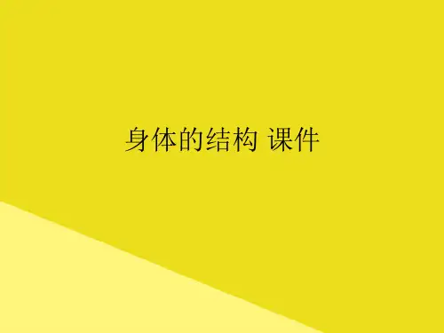 身体的结构 PPT资料(正式版)
