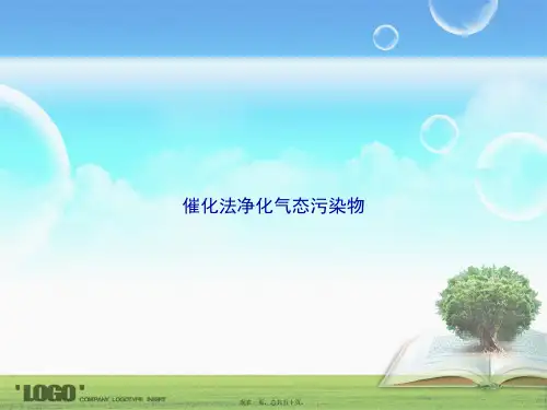 催化法净化气态污染物讲课文档