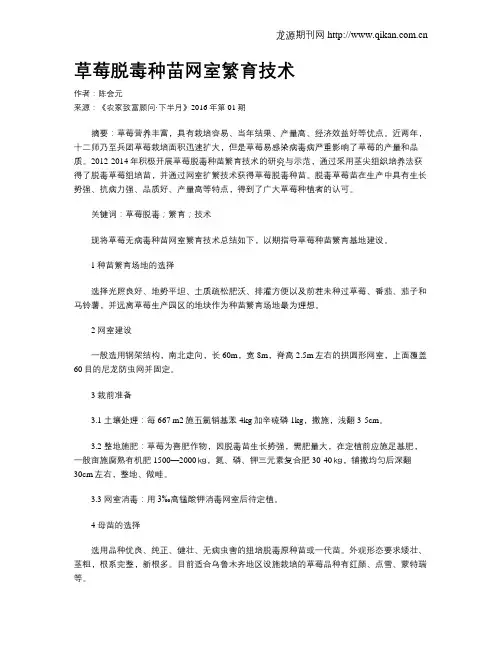 草莓脱毒种苗网室繁育技术