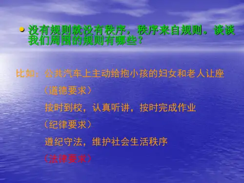 第7课_法律初探(课件)定稿第一课时特殊的规则 2