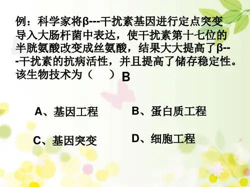 蛋白质工程的崛起的课件.ppt
