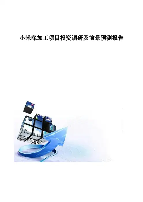 小米深加工项目投资调研及前景预测报告模板