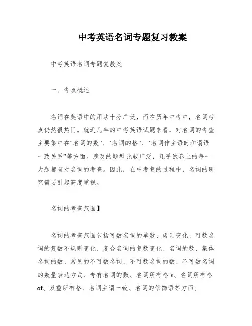 中考英语名词专题复习教案