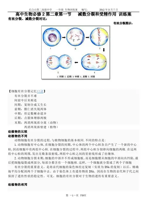高中生物必修2第1节有丝分裂,减数分裂比较 训练案
