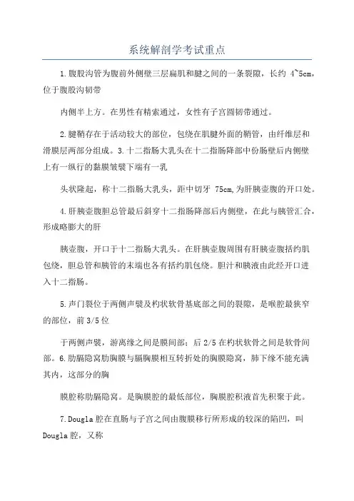 系统解剖学考试重点
