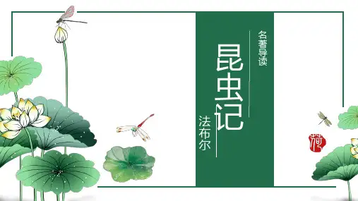 最新统编部编版语文六年级上册《昆虫记》名著导读》精品教学课件