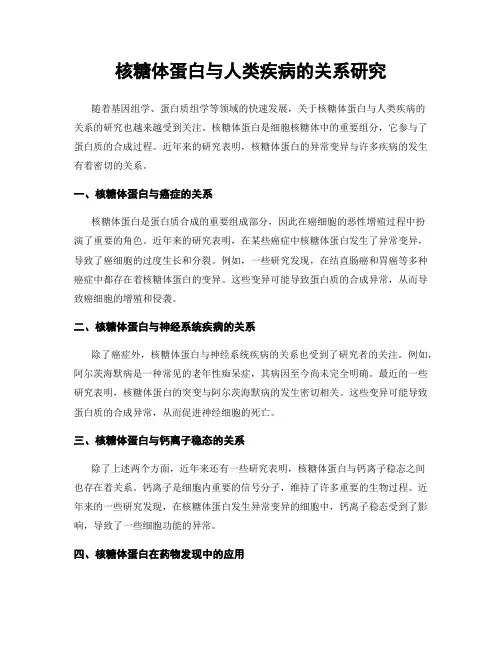 核糖体蛋白与人类疾病的关系研究