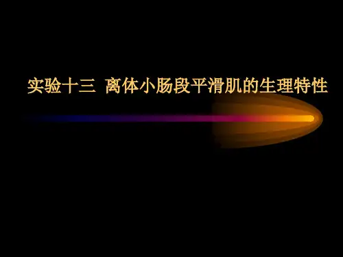 实验十二离体小肠段平滑肌的生理特性