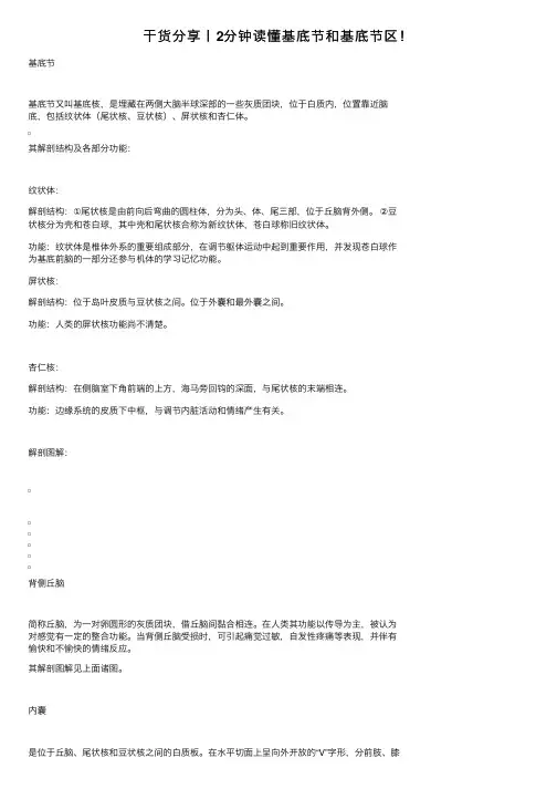 干货分享丨2分钟读懂基底节和基底节区！