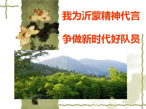 沂蒙精神课件