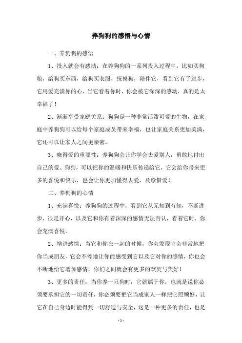 养狗狗的感悟与心情