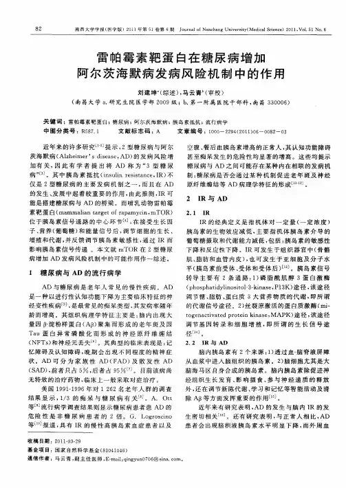 雷帕霉素靶蛋白在糖尿病增加阿尔茨海默病发病风险机制中的作用