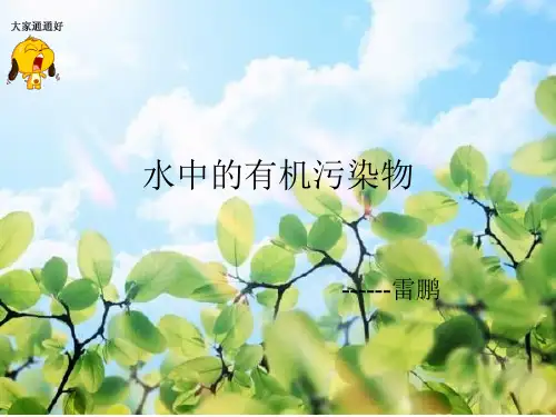 水中的有机污染物1解读