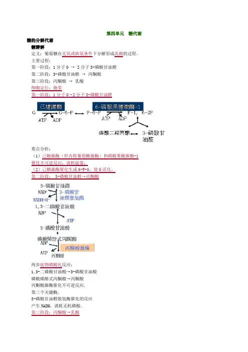 最新口腔执业医师(含助理)精品资料第四单元 糖代谢