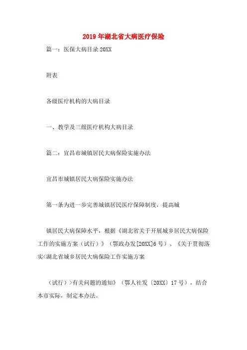 2019年湖北省大病医疗保险