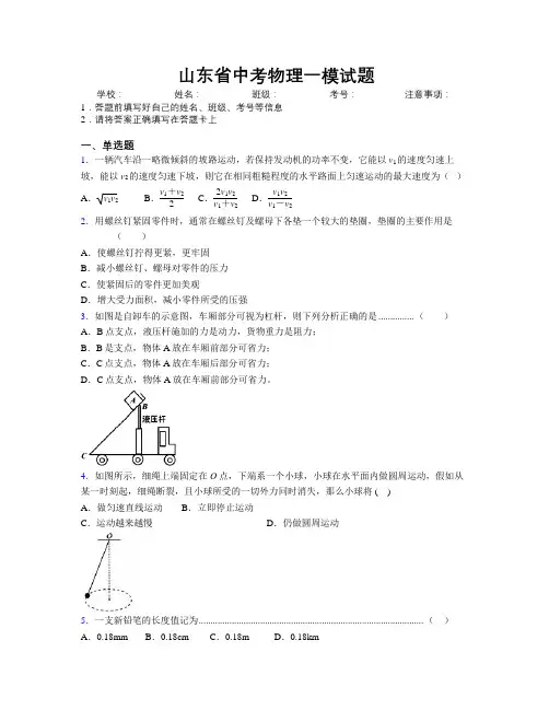 山东省中考物理一模试题附解析