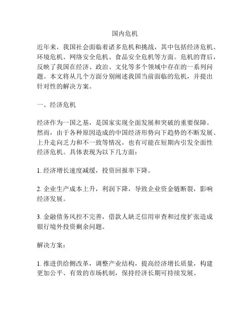 国内的危机
