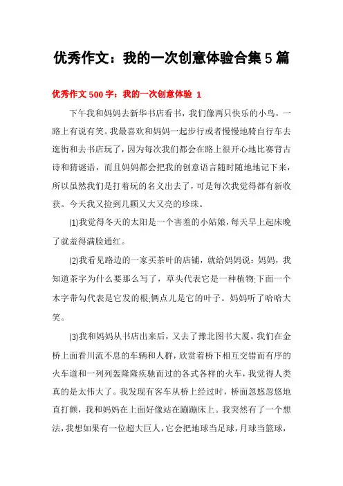 优秀作文：我的一次创意体验合集5篇