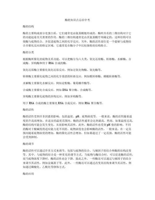 酶的知识点总结中考