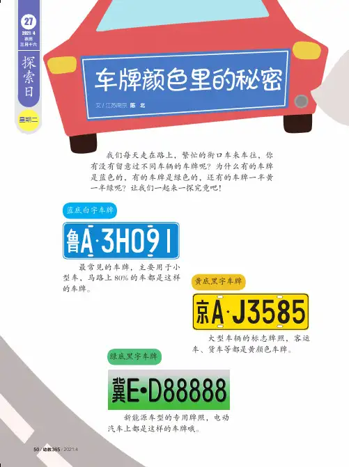 车牌颜色里的秘密