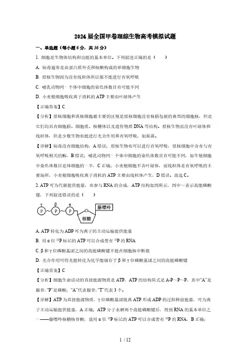 2024届全国甲卷理综生物高考模拟试题(含答案)