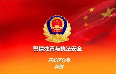 警情处置与执法安全(课堂PPT)