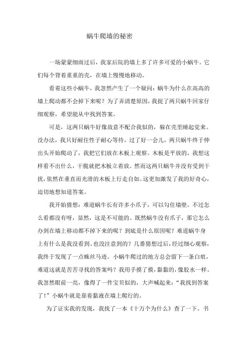 蜗牛爬墙的秘密