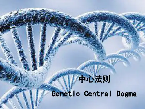 中心法则