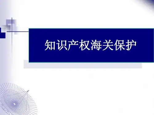 知识产权海关保护20110607