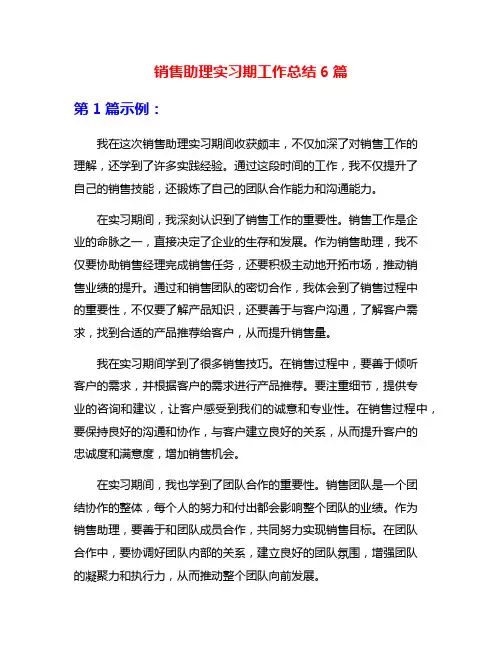销售助理实习期工作总结6篇
